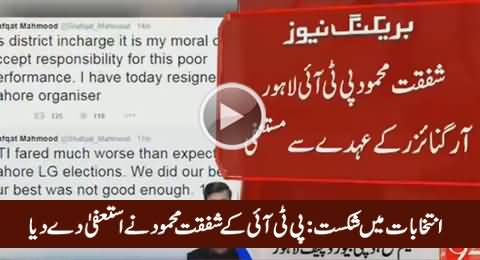 Breaking News: PTI Shafqat Mehmood Resigns After PTI Defeat in LB Elections