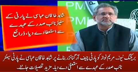 Breaking News: Shahid Khaqan Abbasi resigns as PMLN senior vice president