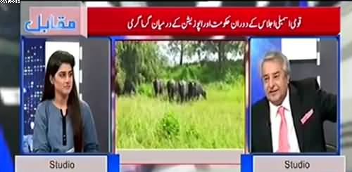Buffaloes Auction has turned into taunts for PTI govt - Amir Mateen praises Murad Saeed speech in NA