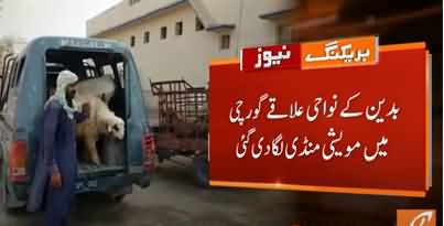 Buyers Rush in Cattle Market Badin, No One Following SOPs