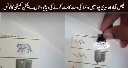 By-Election: Viral video of voters casting ballots - Election Commission takes notice