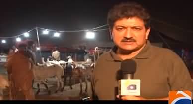 Capital Talk (Special Show From Islamabad Cattle Market) - 7th July 2022