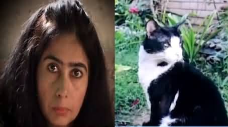 Case Registered Against Doctor By A Woman on the Death of Her Pet Cat