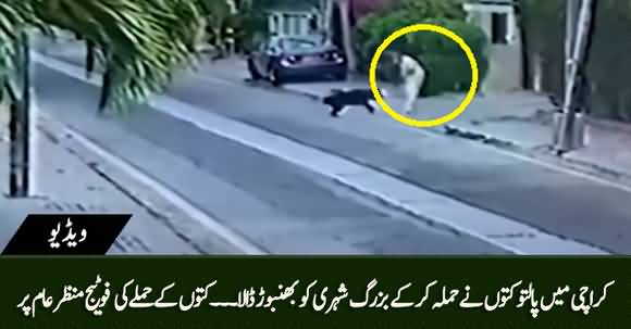 CCTV Footage - An Old Man Attacked By Pet Dogs in Karachi