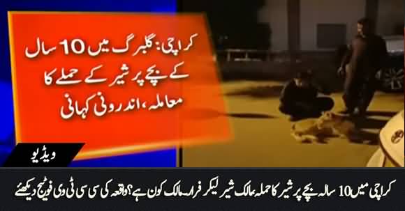 CCTV Footage - Lion Attacks Child in Karachi, Know Inside Story of The Incident