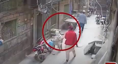 CCTV Footage: Man Snatched Elderly Woman's Earrings in Broad Daylight
