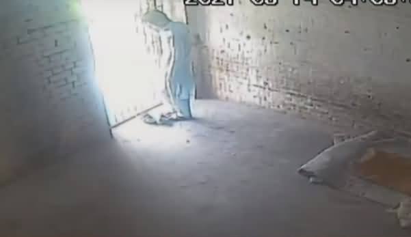 CCTV Footage: Peshawar Lockup Mein 7th Class Student Ki Khudkushi
