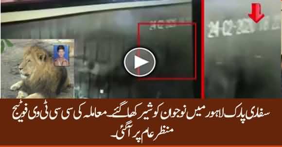 CCTV Video Of 18 Year Old Boy In The Cage of Lions In Safari Park Lahore