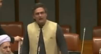 Chairman Sab! Isko Bahar Nikalen - Heated arguments in Senate b/w Faisal Javed & Nasir Butt
