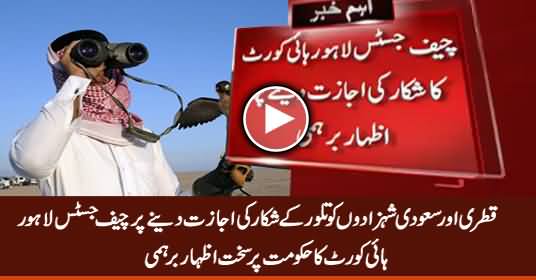 Chief Justice Lahore High Court Express Anger on Allowing Qatari Princes To Hunt Taloor