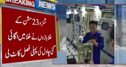 Chinese astronauts grow rice in space on Tiangong station