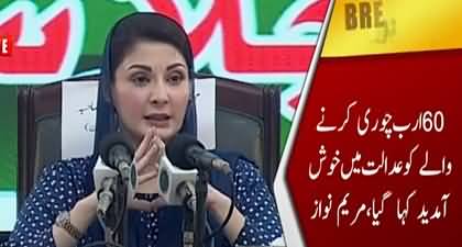 Yahan To Ya Ladly Ka Qanoon Chal Raha Hai Ya Saas Ka - Maryam Nawaz criticizes judges