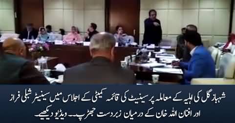 Clash Between Shibli Faraz & Afnanullah Khan in Senate's Standing Committee Meeting