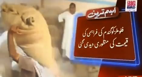 CM Punjab Approves New Price of Wheat Supply to Floor Mills