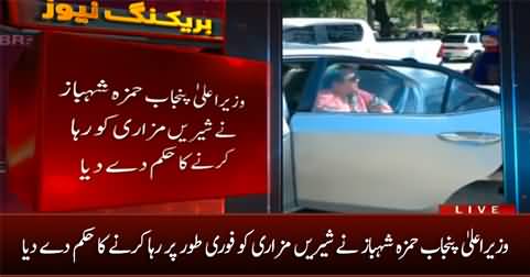 CM Punjab Hamza Shahbaz orders to immediately release Shireen Mazari