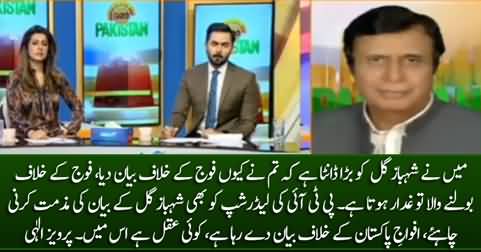 CM Punjab Pervez Elahi badly bashes Shehbaz Gill on his statement against Army