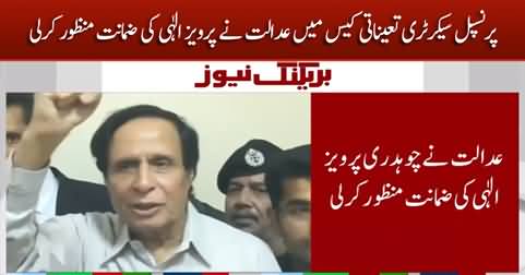 Court grants bail to Pervaiz Elahi in 'illegal appointment' case