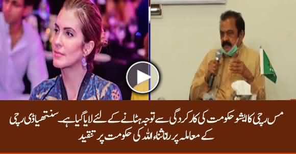 Cynthia D Ritchie Issue Raised To Divert Attention From Govt Performance - Rana Sanaullah