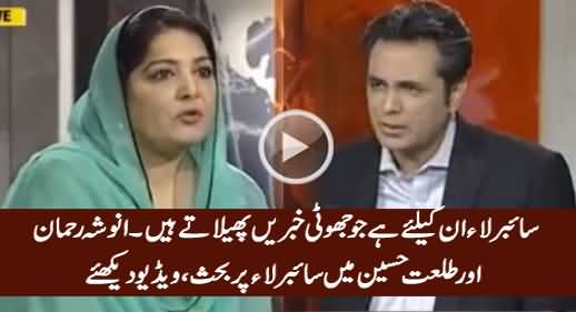 Debate Between Talat Hussain & Anusha Rahman on Cyber Crime Bill