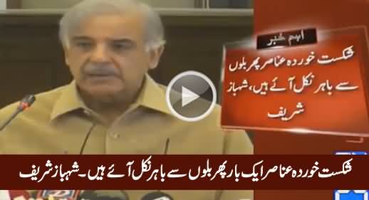 Defeated Politicians Are Again Out of Their Holes - Shahbaz Sharif