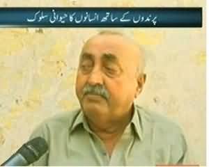 Dekh Tou (Kahan Hai Govt, Aur Mehakma Jangli Hayat) - 27th November 2013