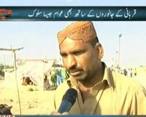 Dekh Tou (Qurbani ke Janwaron Ke Sath bhi Awaam Jesa Salook) - 25th September 2013