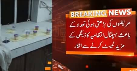 Dengue Patients Increasing: More Cases of Dengue Reported