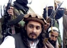 Dialogue Started: Pakistan Govt. Conveyed its First Message to Hakeemullah Mehsood