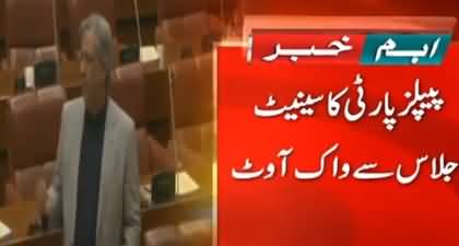 Differences with PMLN, PPP members walked out from Senate as well