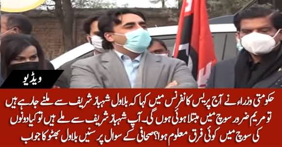 Does Maryam Nawaz Worry About Your Meeting With Shahbaz Sharif? Bilawal Bhutto Replies
