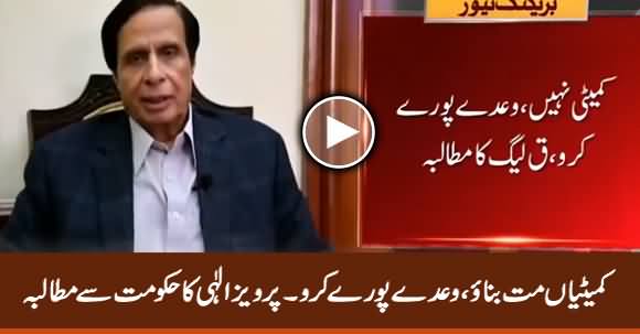 Don't Make Committees, Just Fulfill Promises - Pervez Elahi Demands Govt