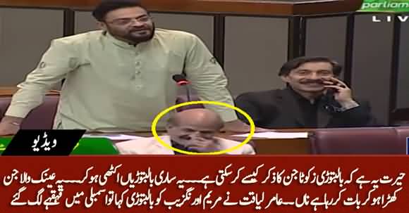 Aamir Liaquat Calls Maryam Aurangzeb 