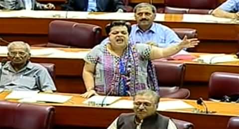 Dr. Shireen Mazari Speech on Budget in National Assembly - 18th June 2014