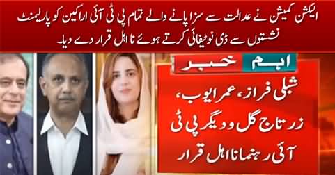 Election Commission de-notifies PTI members of parliament after their conviction
