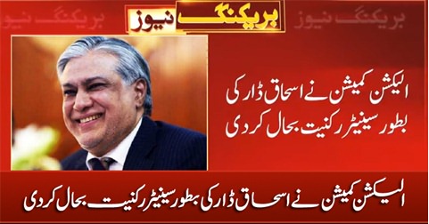 Election Commission Restores Ishaq Dar's Senate Membership