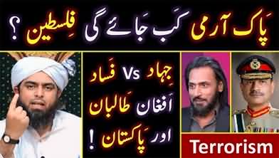 Engineer Muhammad Ali Mirza's comments on Army Chief's speech about Palestine