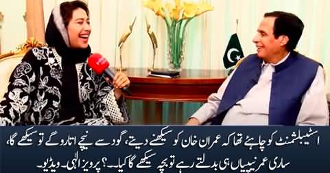 Establishment kept changing Imran Khan's nappies & didn't let him learn - Pervez Elahi