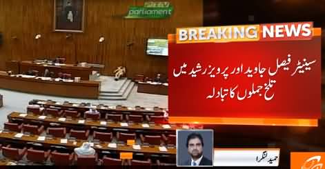 Exchange of Harsh Words Between Faisal Javed Khan & Pervez Rasheed in Senate