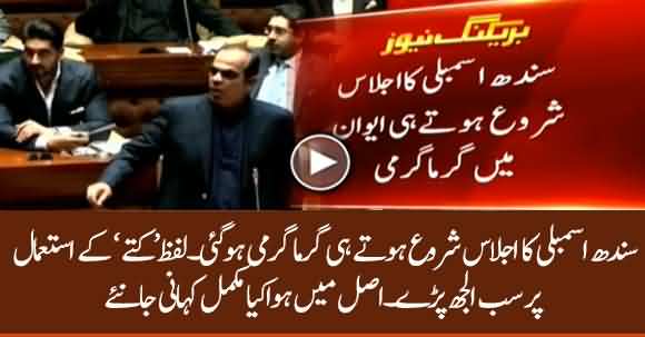 Exchange Of Harsh Words During Sindh Assembly Session Because Of 'Kutty' Word Used By Opposition