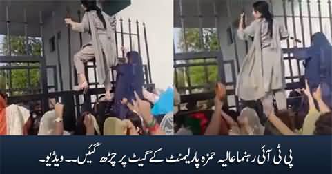 Exclusive Video: PTI leader Alia Hamza climbed the gate of parliament