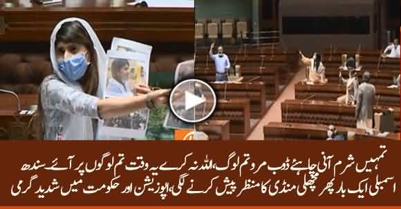 Extreme Verbal Fight In Sindh Assembly, No One Listened To The Speaker