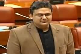 Faisal Javed Complete Speech on Mini Budget in Senate - 24th January 2019