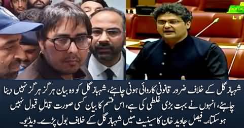 Faisal Javed Khan condemns Shahbaz Gill's statement in Senate & demands legal action against him