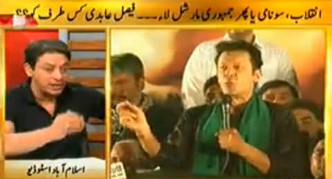 Faisal Raza Abidi Criticizing Imran Khan and Dr. Tahir ul Qadri's Revolution