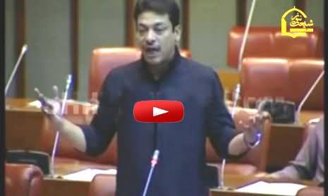 Faisal Raza Abidi Last Blasting Speech in Senate Before Resignation
