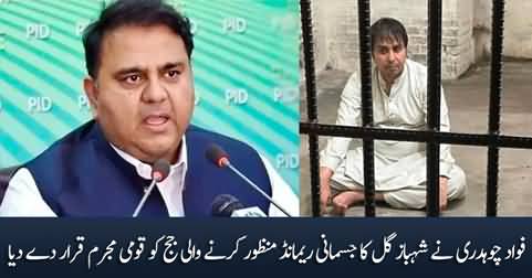 Fawad Chaudhry called the judge who approved Shahbaz Gul's physical remand 'a national criminal'
