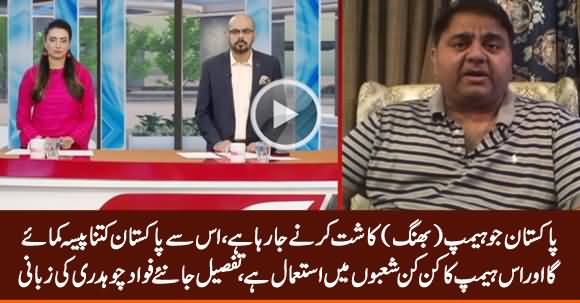 Fawad Chaudhry Explains The Uses of Hemp (Bhang) in Industrial & Medical Fields