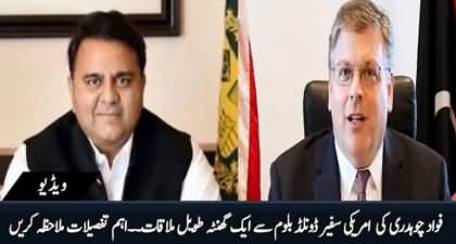 Fawad Chaudhry holds important meeting with the US ambassador to Pakistan Donald Blome