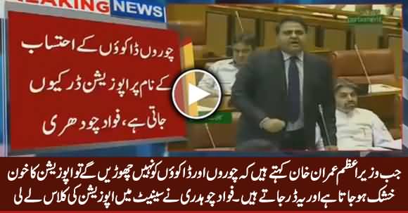 Fawad Chaudhry Takes Class of PMLN And PPP In Senate