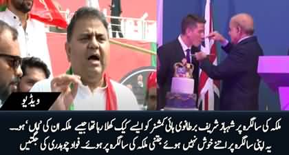 Fawad Ch criticizes Shehbaz Sharif on feeding cake to English Ambassador on Queen's birthday
